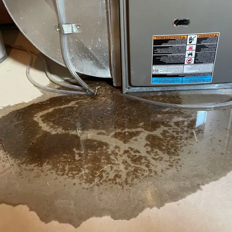 Pipe Burst and Leak Restoration in Upper Montclair, NJ